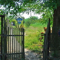 Kherson and Fisherman's Island (被訪問過 897 次) Kherson and Fisherman's Island