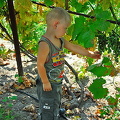 Kherson and Fisherman's Island (被訪問過 944 次) Kherson and Fisherman's Island