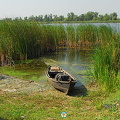 Kherson and Fisherman's Island