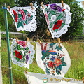 Kherson and Fisherman's Island