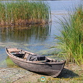 Fisherman's Island, Kherson (841 visites) Fisherman's Island, Kherson