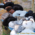 Fisherman's Island, Kherson (879 visites) Fisherman's Island, Kherson