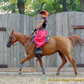 Cossack Horse Show
