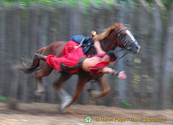 Cossack Horse Show