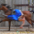 Cossack Horse Show