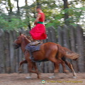 Cossack Horse Show