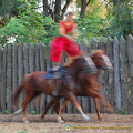 Cossack Horse Show