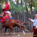 Cossack Horse Show