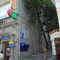 Cable Car Ride, Yalta (1077 bisita) Cable Car Ride, Yalta