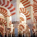 cordoba-mosque_588.jpg (2158 visits) cordoba-mosque_588.jpg