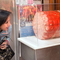giant-mortadella_588.jpg