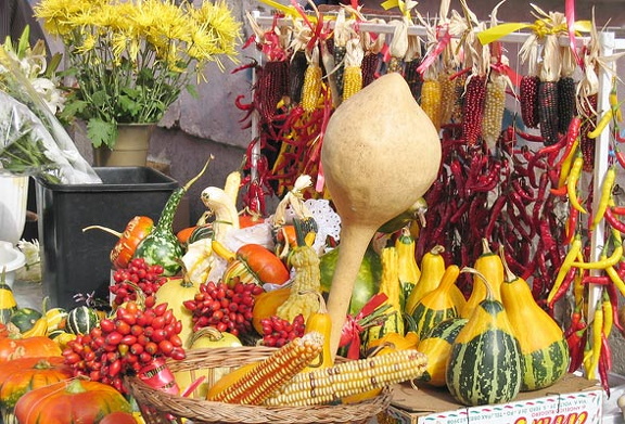 zagreb-veg_588.jpg (1172 visits) zagreb-veg_588.jpg