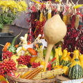 zagreb-veg_588.jpg