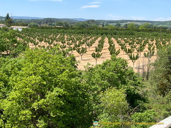 Bonnieux-Roussillon IMG 0052-(2)