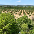 Bonnieux-Roussillon_IMG_0052-(2).jpg