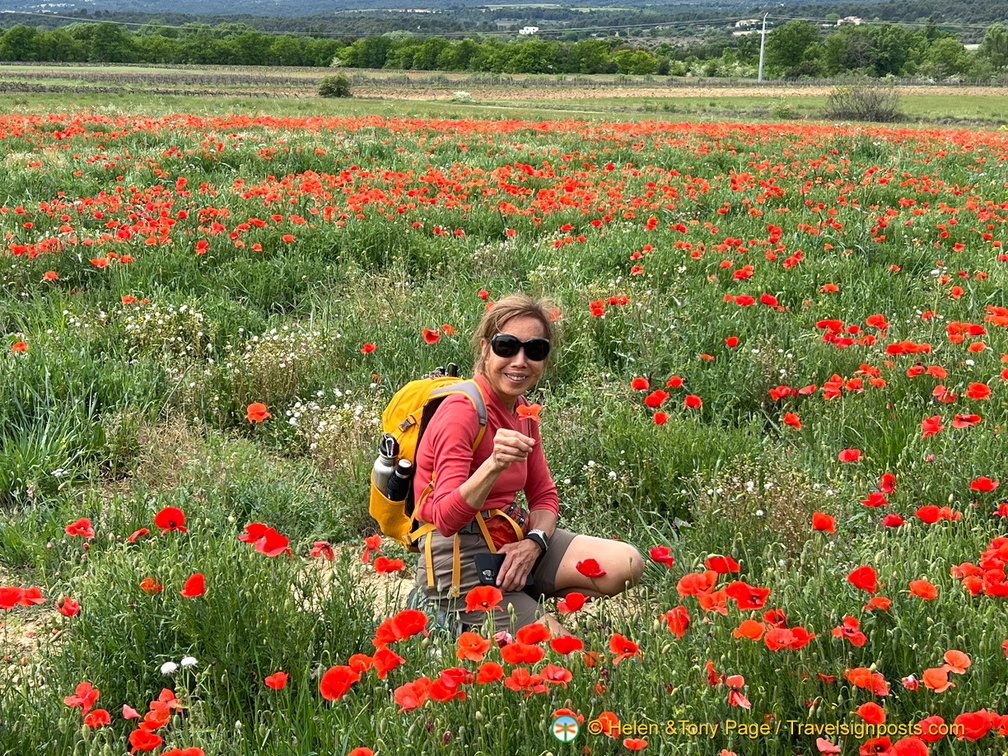 Roussillon-initial IMG 0017