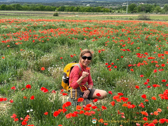 Roussillon-initial IMG 0017