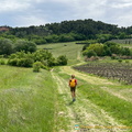 Roussillon-initial_IMG_0020.jpg
