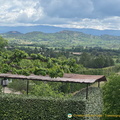 View of Gordes from Joucas (1106 visits) Joucas - Roussillon to Gordes - Hilltop Villages of Luberon - French Walking Holidays View of Gordes from Joucas