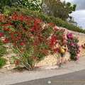 Roussillon-Gordes_IMG_0048.jpg