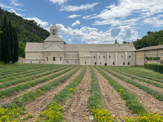 Abbaye de Sénanque and its lavender fields