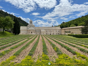 Iconic view of Abbaye de Sénanque 