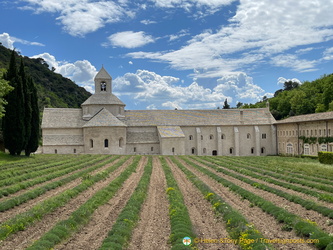 Abbaye de Sénanque and its famous lavender fields