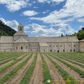 Abbaye de Sénanque and its famous lavender fields (1359 visite) Abbaye de Sénanque - Gordes - Hilltop Villages of Luberon - French Walking Holidays Abbaye de Sénanque and its famous lavender fields
