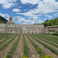 Gordes-AbbayeSenanque_IMG_0100.jpg