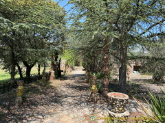 Sculpture garden by Leopold Truc