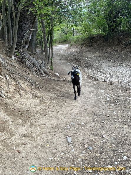 IMG 0667 (704 visits) IMG 0667