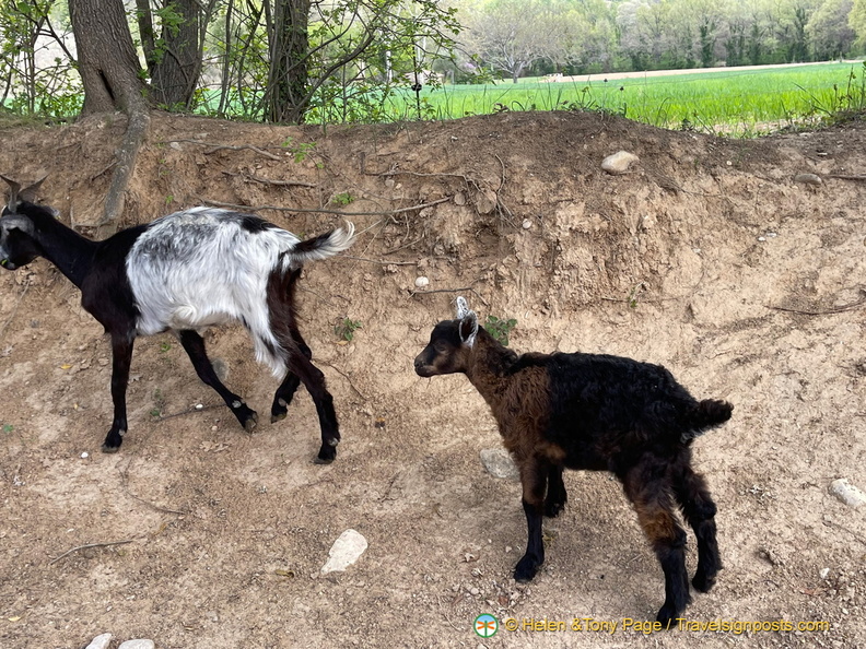 IMG 0668 (708 visits) IMG 0668