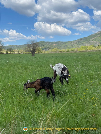 IMG 0669 (719 visits) IMG 0669