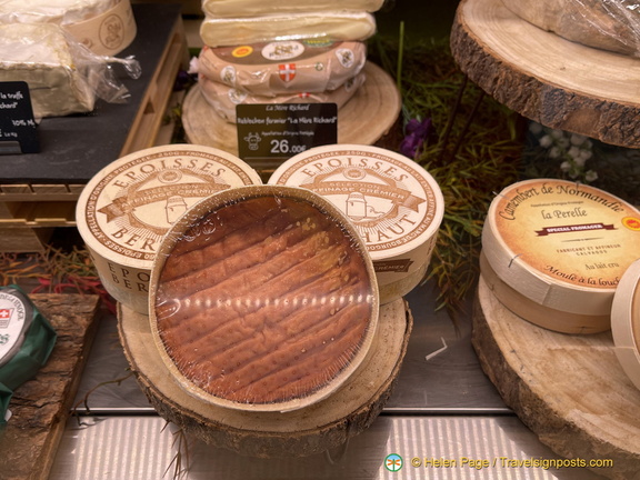 IMG 2674 (889 visits) IMG 2674