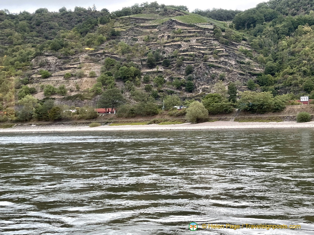 IMG 1650 (906 ទស្សនា) IMG 1650