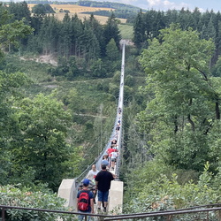 Geierlay Suspension Bridge Hike