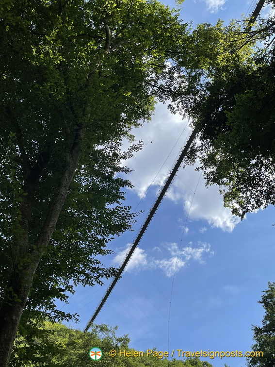 IMG 1732 (850 بازدید) IMG 1732