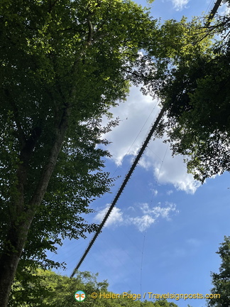 IMG 1732 (851 visits) IMG 1732