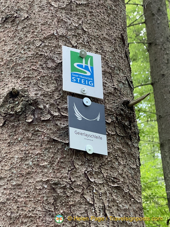 IMG 1733 (869 بازدید) IMG 1733