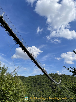 IMG 1739 (854 visits) IMG 1739