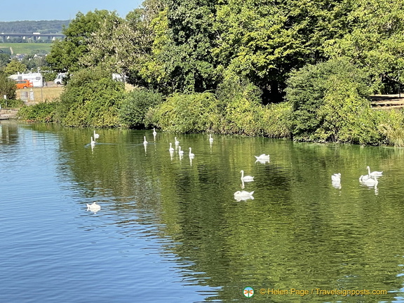 IMG 1790 (866 visits) IMG 1790