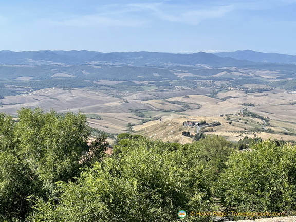 IMG 3443 (1324 ביקורים) IMG 3443