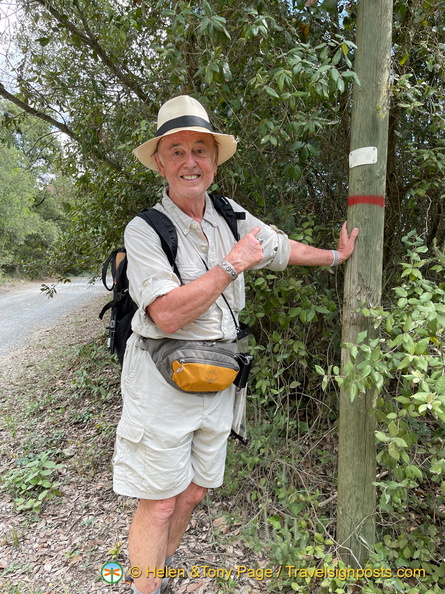 IMG 0157 (1177 bisita) IMG 0157