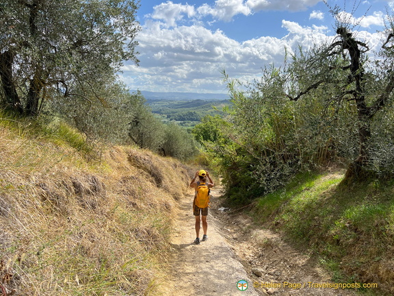 IMG 0138 (1671 visits) IMG 0138