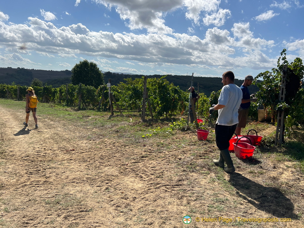 IMG 0140 (1489 visitas) IMG 0140