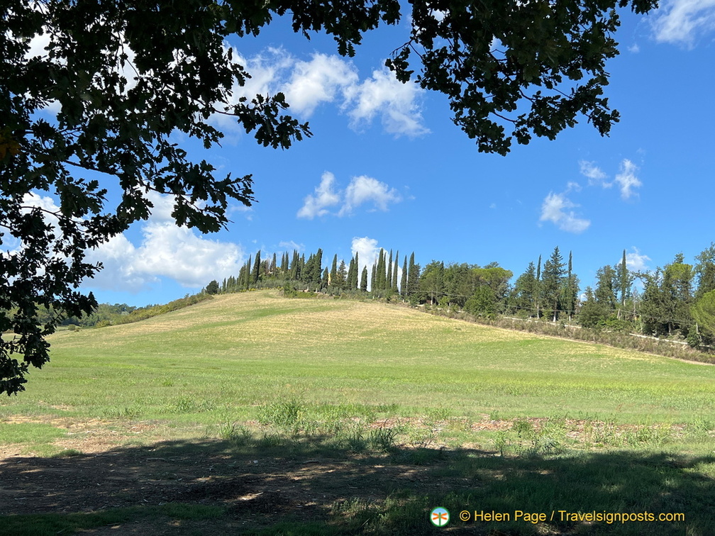 IMG 0142 (1425 visits) IMG 0142