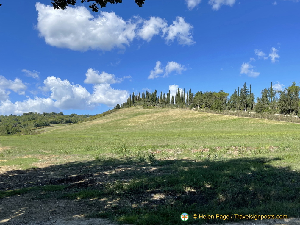 IMG 3708 (1388 visits) IMG 3708