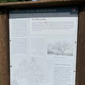 IMG 0235