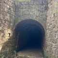 IMG 0180