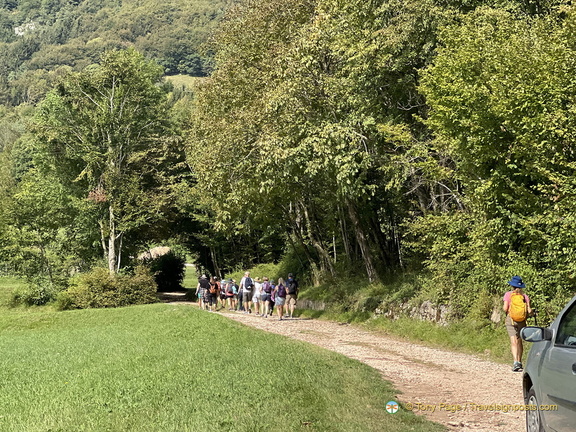 Via dei Mulini woodlands